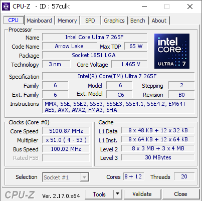 screenshot of CPU-Z validation for Dump [57culk] - Submitted by  TEDLASSO  - 2025-10-19 23:31:22