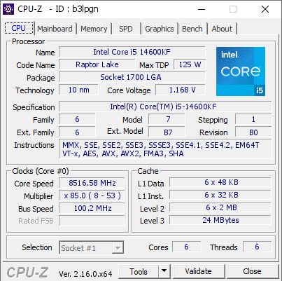 screenshot of CPU-Z validation for Dump [b3lpgn] - Submitted by  Enksx1  - 2025-08-07 07:50:33